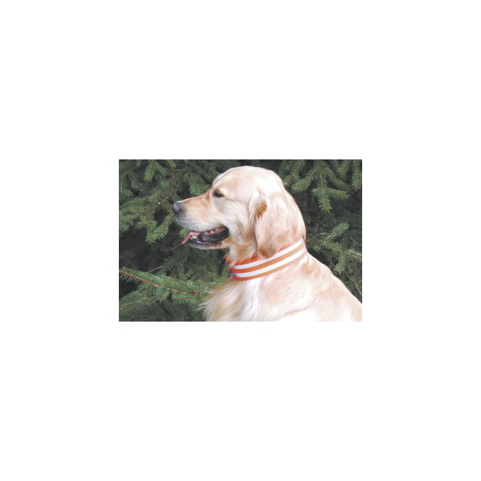 Hunde-Signalhalsung kurz, 3,5cm breit mit Klettverschluss