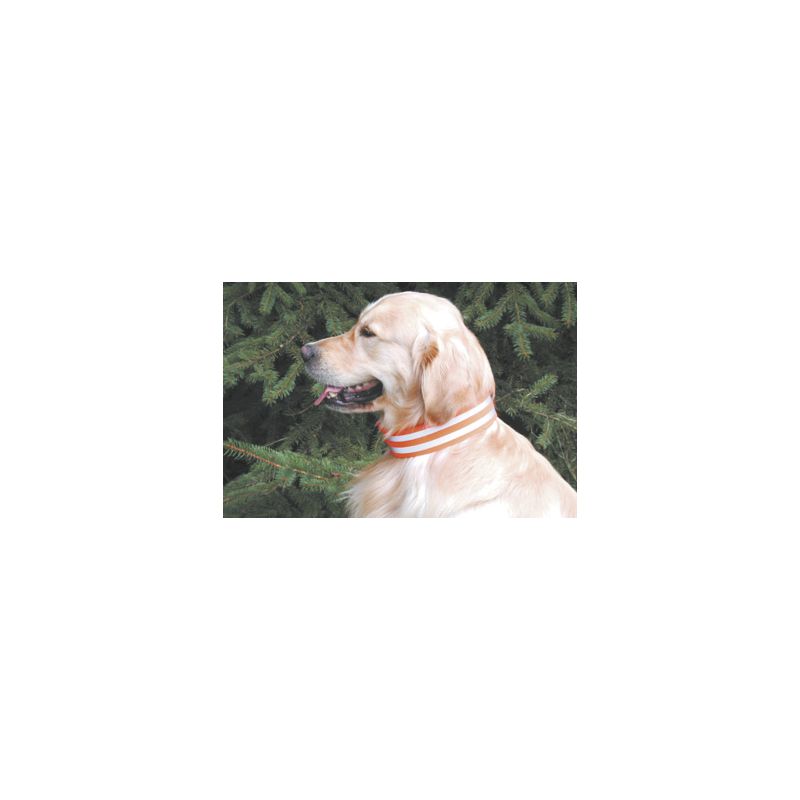 Hunde-Signalhalsung 5cm breit mit Schnalleneverschluss