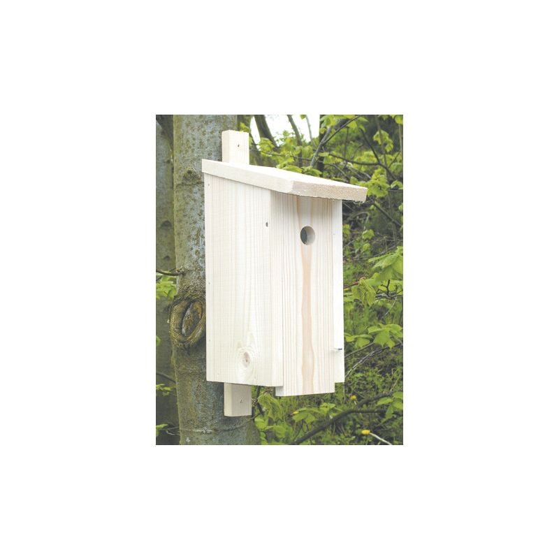 Nistkasten Blaumeise