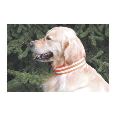 Hunde-Signalhalsung 5cm breit mit Klettverschluss